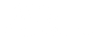 MEDIA Alliance Brazil